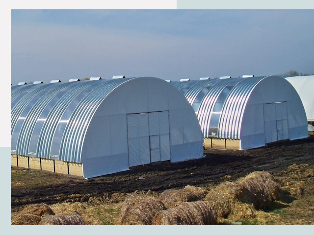 Сельскохозяйственные здания в Елабуге