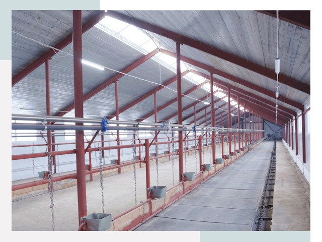 Строительство коровников в Елабуге от 608 руб.