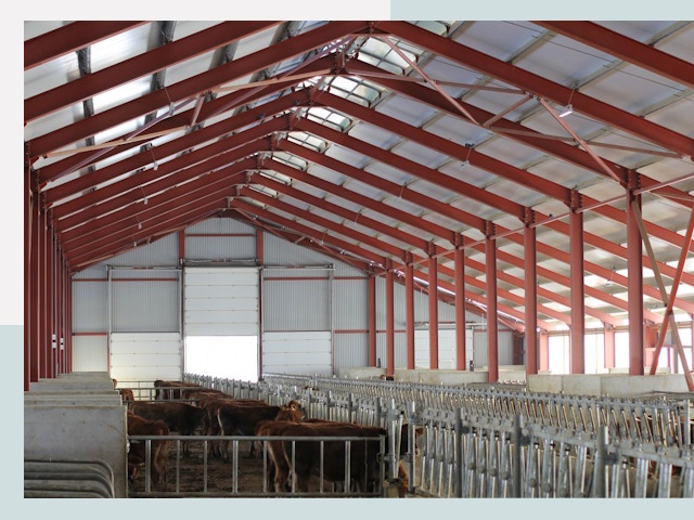 Строительство коровников в Елабуге