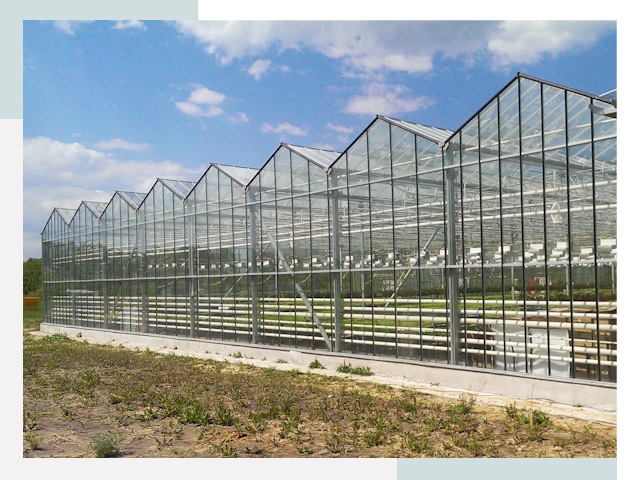 Строительство теплиц в Елабуга от 608 руб. за м²