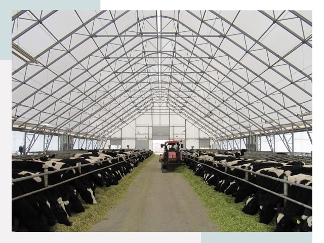 Тентовые коровники в Елабуге от 608 руб. - Надежно и доступно